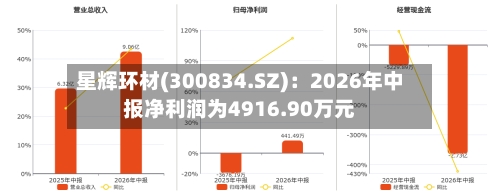 星辉环材(300834.SZ)：2026年中报净利润为4916.90万元-第3张图片