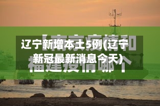 辽宁新增本土5例(辽宁新冠最新消息今天)