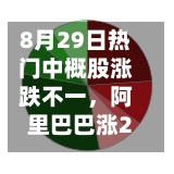 8月29日热门中概股涨跌不一，阿里巴巴涨2.23%，台积电跌2.29%