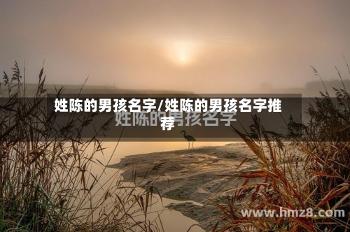 姓陈的男孩名字/姓陈的男孩名字推荐-第2张图片