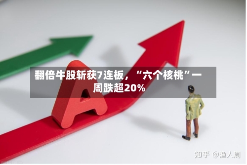 翻倍牛股斩获7连板，“六个核桃	”一周跌超20%-第2张图片