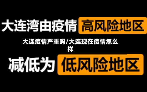 大连疫情严重吗/大连现在疫情怎么样-第3张图片