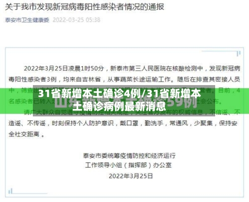 31省新增本土确诊4例/31省新增本土确诊病例最新消息
