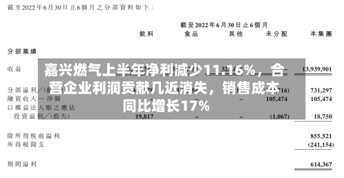 嘉兴燃气上半年净利减少11.16%，合营企业利润贡献几近消失	，销售成本同比增长17%-第3张图片