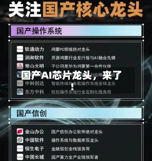 国产AI芯片龙头，来了！-第3张图片