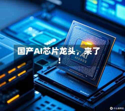国产AI芯片龙头	，来了！-第2张图片