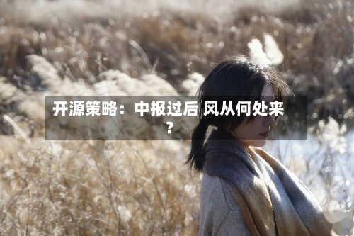 开源策略：中报过后 风从何处来？