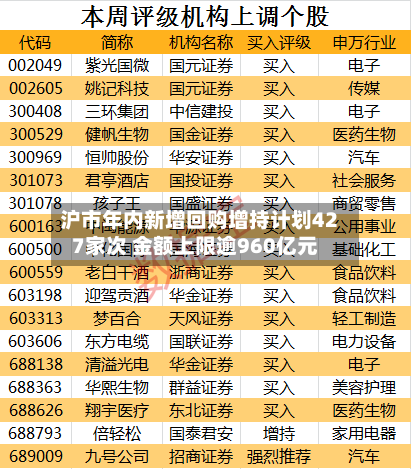 沪市年内新增回购增持计划427家次 金额上限逾960亿元-第2张图片