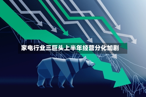 家电行业三巨头上半年经营分化加剧