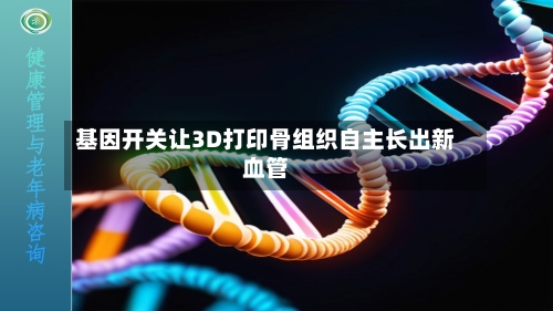 基因开关让3D打印骨组织自主长出新血管
