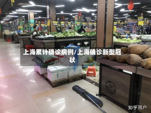 上海累计确诊病例/上海确诊新型冠状