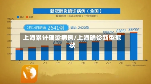 上海累计确诊病例/上海确诊新型冠状-第3张图片