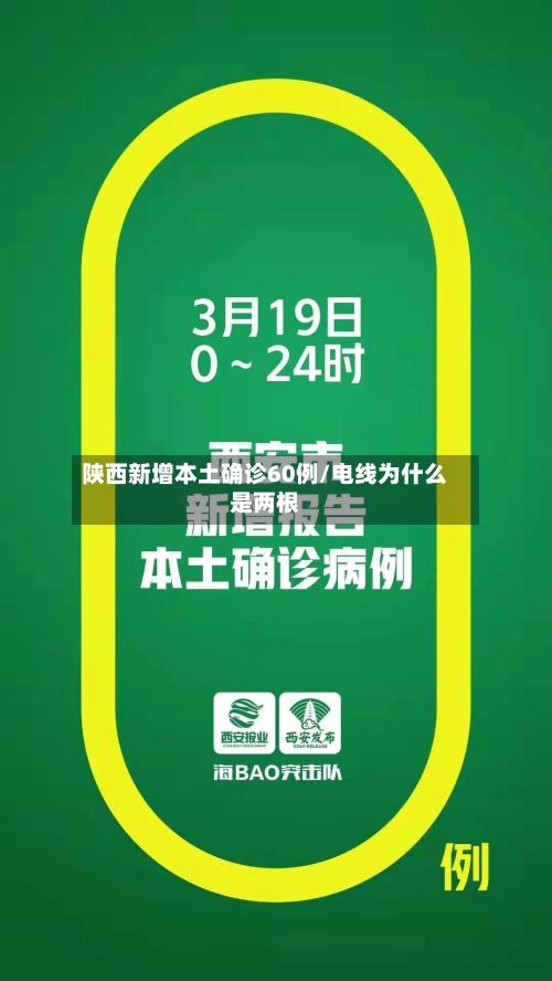 陕西新增本土确诊60例/电线为什么是两根-第2张图片