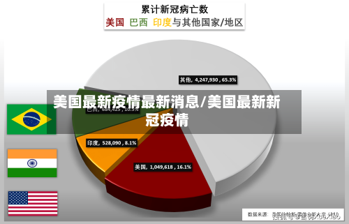 美国最新疫情最新消息/美国最新新冠疫情