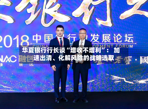 华夏银行行长谈“增收不增利”： 加速出清、化解风险的战略选取-第2张图片