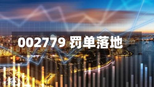 002779 罚单落地-第2张图片