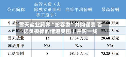 雪天盐业跨界“蛇吞象”并购谋变 百亿负极标的借道突围丨并购一线-第2张图片