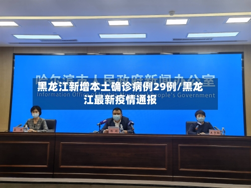 黑龙江新增本土确诊病例29例/黑龙江最新疫情通报-第3张图片