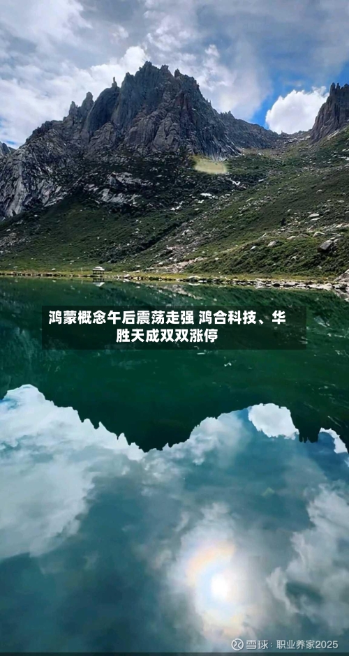 鸿蒙概念午后震荡走强 鸿合科技、华胜天成双双涨停-第2张图片