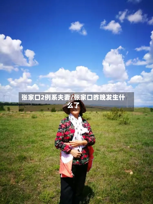 张家口2例系夫妻/张家口昨晚发生什么了