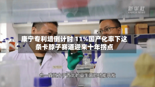 康宁专利墙倒计时 11%国产化率下这条卡脖子赛道迎来十年拐点-第2张图片