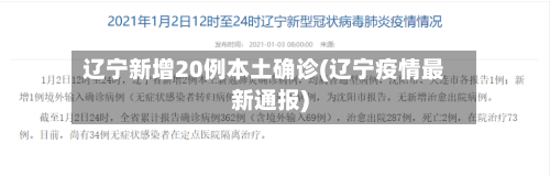 辽宁新增20例本土确诊(辽宁疫情最新通报)