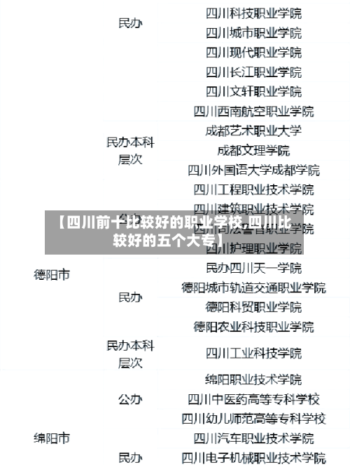 【四川前十比较好的职业学校,四川比较好的五个大专】