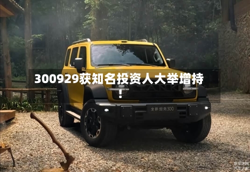300929获知名投资人大举增持！-第2张图片