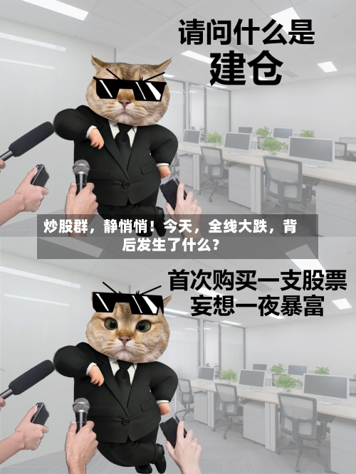 炒股群，静悄悄！今天，全线大跌	，背后发生了什么？-第2张图片