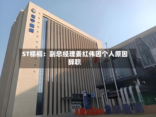 ST棕榈：副总经理姜红伟因个人原因辞职-第2张图片