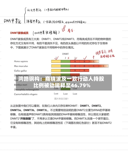 鸿路钢构：商晓波及一致行动人持股比例被动稀释至46.79%-第2张图片