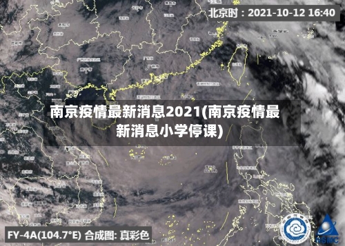 南京疫情最新消息2021(南京疫情最新消息小学停课)-第2张图片