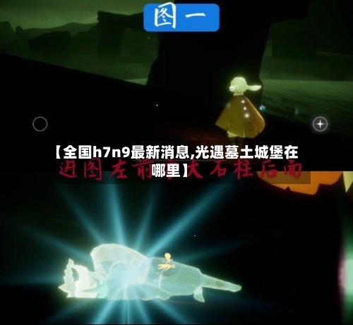 【全国h7n9最新消息,光遇墓土城堡在哪里】-第2张图片