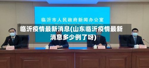 临沂疫情最新消息(山东临沂疫情最新消息多少例了呀)-第2张图片
