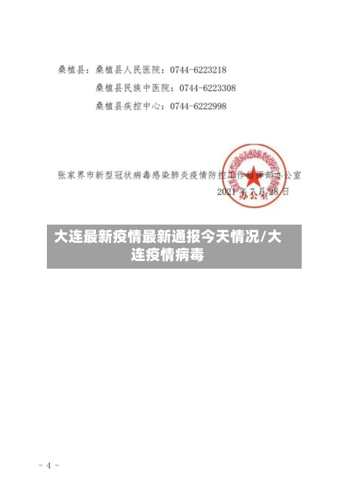大连最新疫情最新通报今天情况/大连疫情病毒-第2张图片
