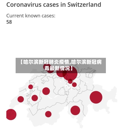 【哈尔滨新冠肺炎疫情,哈尔滨新冠病毒最新情况】-第2张图片