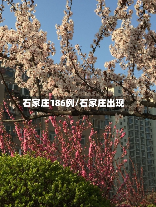 石家庄186例/石家庄出现-第2张图片