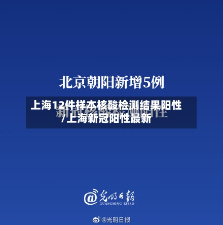 上海12件样本核酸检测结果阳性/上海新冠阳性最新-第3张图片