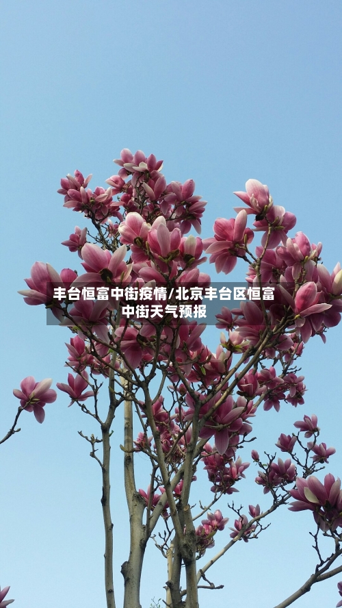 丰台恒富中街疫情/北京丰台区恒富中街天气预报-第2张图片