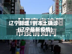 辽宁新增1例本土确诊(辽宁最新疫情)-第3张图片