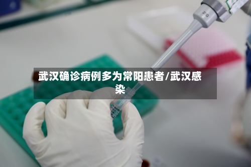 武汉确诊病例多为常阳患者/武汉感染