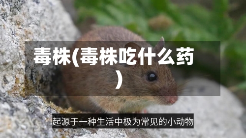 毒株(毒株吃什么药)