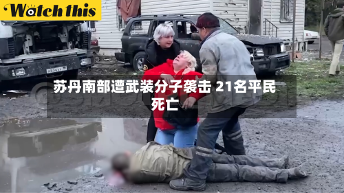 苏丹南部遭武装分子袭击 21名平民死亡