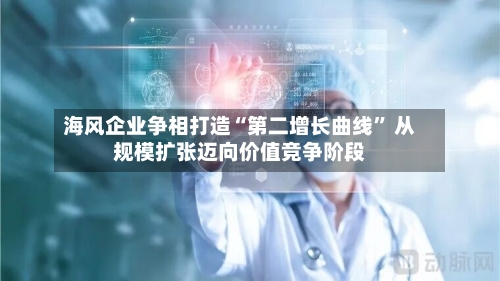 海风企业争相打造“第二增长曲线” 从规模扩张迈向价值竞争阶段-第2张图片