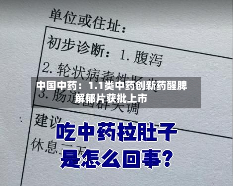 中国中药：1.1类中药创新药醒脾解郁片获批上市