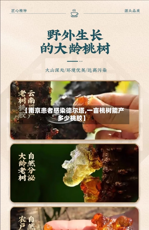 【南京患者感染德尔塔,一亩桃树能产多少桃胶】