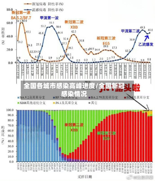 全国各城市感染高峰进度/全国新冠感染情况-第3张图片