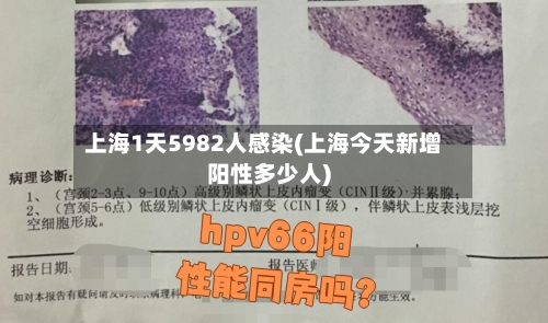 上海1天5982人感染(上海今天新增阳性多少人)-第2张图片