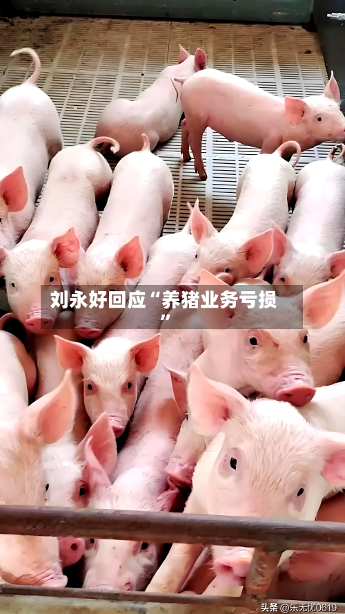 刘永好回应“养猪业务亏损”-第2张图片